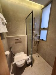 Mount Elizabeth Link (D9), Condominium #459168281